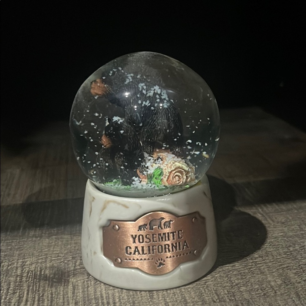 Yosemite souvenir